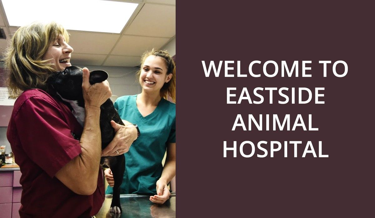 welcome-to-eastside-animal-hospital