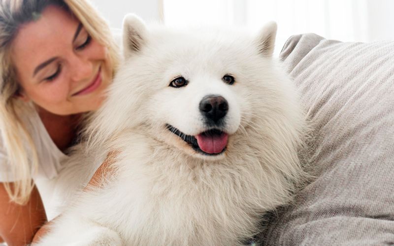 woman hugging her white furry dog