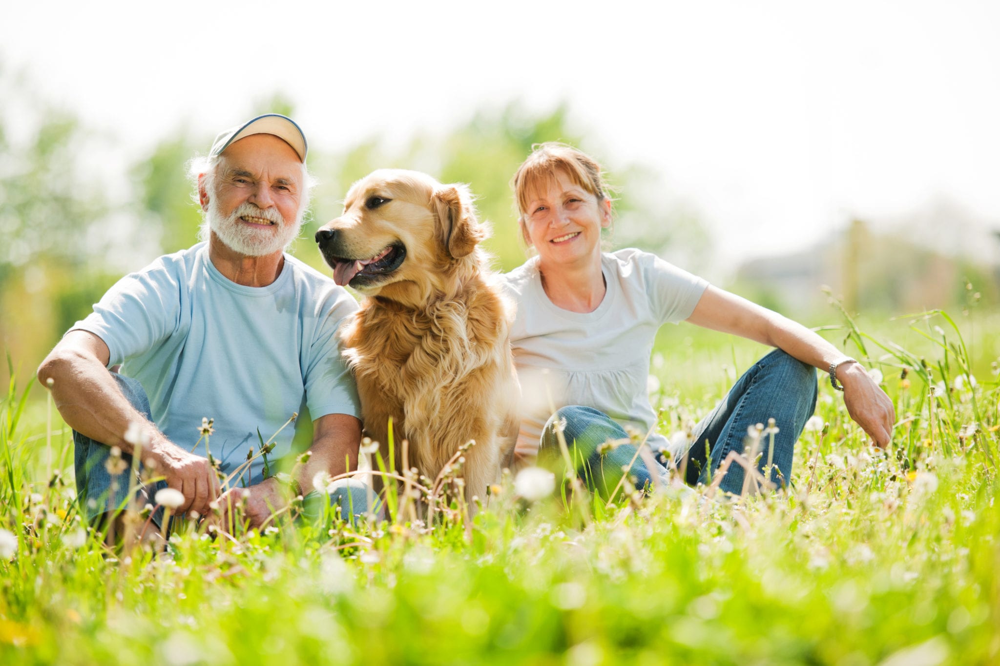Pet Wellness Care in East Lansing