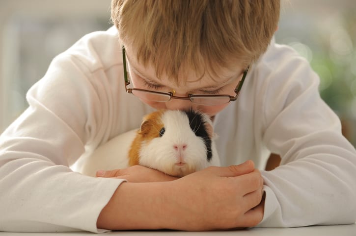 Pocket Pet Care in East Lansing