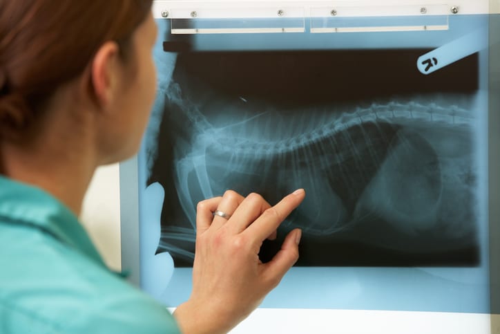 Pey X-Rays in East Lansing